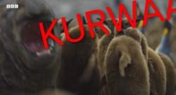 8c46d269-5369-40dc-a85e-0e556a58a9b6