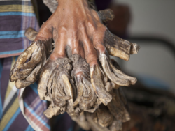 b1839075-f8ab-4dcb-94e0-52bda7cd4c3f