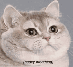 c952b758-eb27-4a0c-b9b5-a220ee89baac