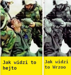 1bc81c8e-8114-4fa0-8761-650b373de1a0