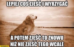 9b4f678f-90f4-41dd-90ad-de217c9b6425