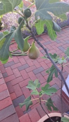 c997ee82-d94d-4e3e-b115-0c94e765e7c2