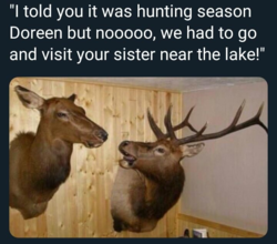 218a7882-c50a-4e80-9cf6-74f1b35a30da