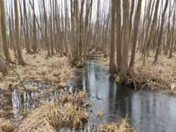 df201e69-af46-4b18-9694-3598f34f26f1