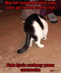 d2c87d05-8020-4882-8cb4-42de2c439300