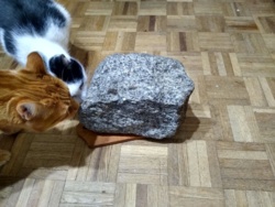 ac9109ef-0c41-4bbe-b7c8-ba10d81b8cea