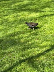 392bd4e8-2227-42ef-9198-17fd17083383