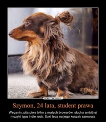 84ce9bd7-1f0d-48f6-9a65-903e25eeca42