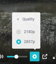 6920ef4e-93b7-486e-ae96-3248df5501ed