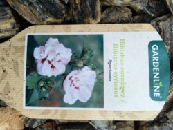 79b170ac-9ffe-4440-80a6-4fcb4d3133ee