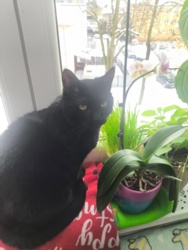 dc2d1b28-c4c1-4652-b114-fc5d862ee53f