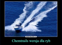 bcbee4c9-c6d4-421d-a109-3a821ee5cd07