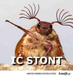 56a1ca99-c1fd-4845-ad38-5ef4728aac98