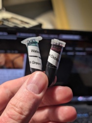 c2ab5989-23ba-41dc-9591-fce35ab50645