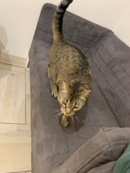 02caea70-6fb4-45cb-89a9-d84d2861b1e6