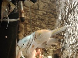 e691fe7c-4346-4085-a1d7-b32b6986eaf5