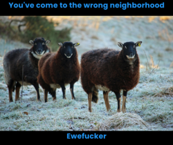 47b4fec8-3c4a-4a11-a0cd-3790bfd1ca54