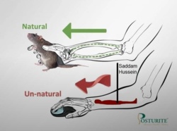 92c9759a-4cd5-48f2-9394-b5384358232f