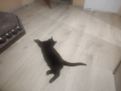 43ae9270-f895-44fe-b7e7-b7d01351e426