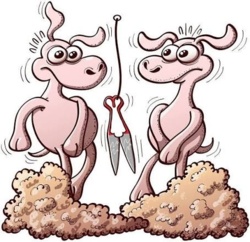 536803e9-38d8-4cb9-9f5d-7b6816c9b82f