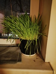 45977cd9-0ed3-4826-98eb-df73995cce1b