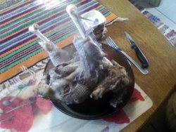 49adf2e0-71e2-49c0-a4f3-ba2b36f71f78