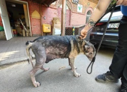 837bf587-1421-4112-914c-e4657955b4a4