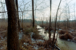 37a4dd5d-1513-45e0-beae-3c6a9e9e93ff