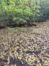 9cf9fe62-8092-4b19-8916-2abc9825222b