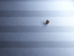 8402b24d-5a54-4c90-958e-a9123da396f0