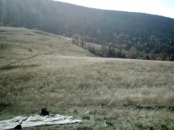 62fe4e18-c88f-4da5-adac-12c9cc9b78cb