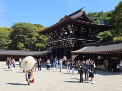 4e0d5e7d-d27e-4d0d-8a7f-63801165980d