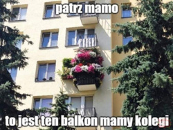 2ff2ab05-3949-4441-a9ee-2bbc52d29eac