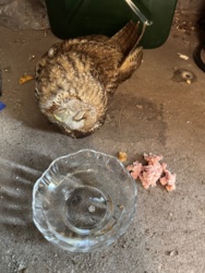 207f726e-0115-405b-8bb9-07ce28173f45