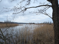 0c866018-f4ea-4949-bbc2-45efb551946e