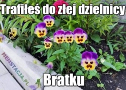 980dc17d-e110-4d3c-aa8b-3d82f6116f02