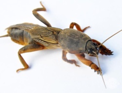 06f0df59-ee11-443d-8e1a-277a147fd9da