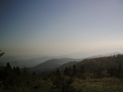 753e8423-5e7c-4e23-bfef-72dfd450adaa