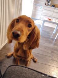 eabf7f7c-9be0-40ff-bb90-f9eedf9a7338