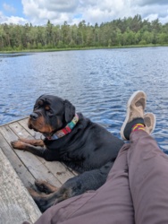 4453207d-01a8-4279-8f7f-18a4e9d18eef