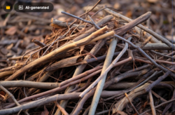 f80c4c0b-6068-46a0-9e22-7f160ebd7a7c