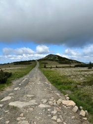 3d7d2934-896e-4ed1-ae00-d7d5c5b1be2a