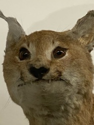 044ba792-3f8d-4f1b-88eb-651cb6bda6ab