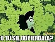 83af7cda-463d-4584-9dd1-61bdbc4b4f0a