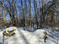 33fa905d-0814-414f-bd65-c9d9e0b57dd6