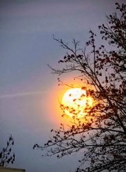 b91650b6-26ac-4090-9279-235fbe2fead5