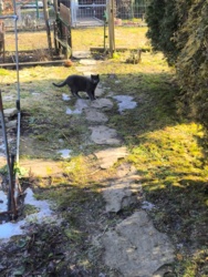 c359215a-ea91-47b8-b625-d80a8632b729