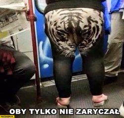 c5167857-3a5e-4441-a54d-2462b561c6b3