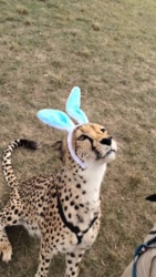 52bb4d22-387f-4bab-95df-cc4855c130d3