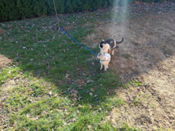 20df78a7-fce2-4fe4-962b-610b803dca47